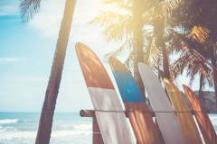 vecteezy_many-surfboards-beside-coconut-trees-at-summer-beach